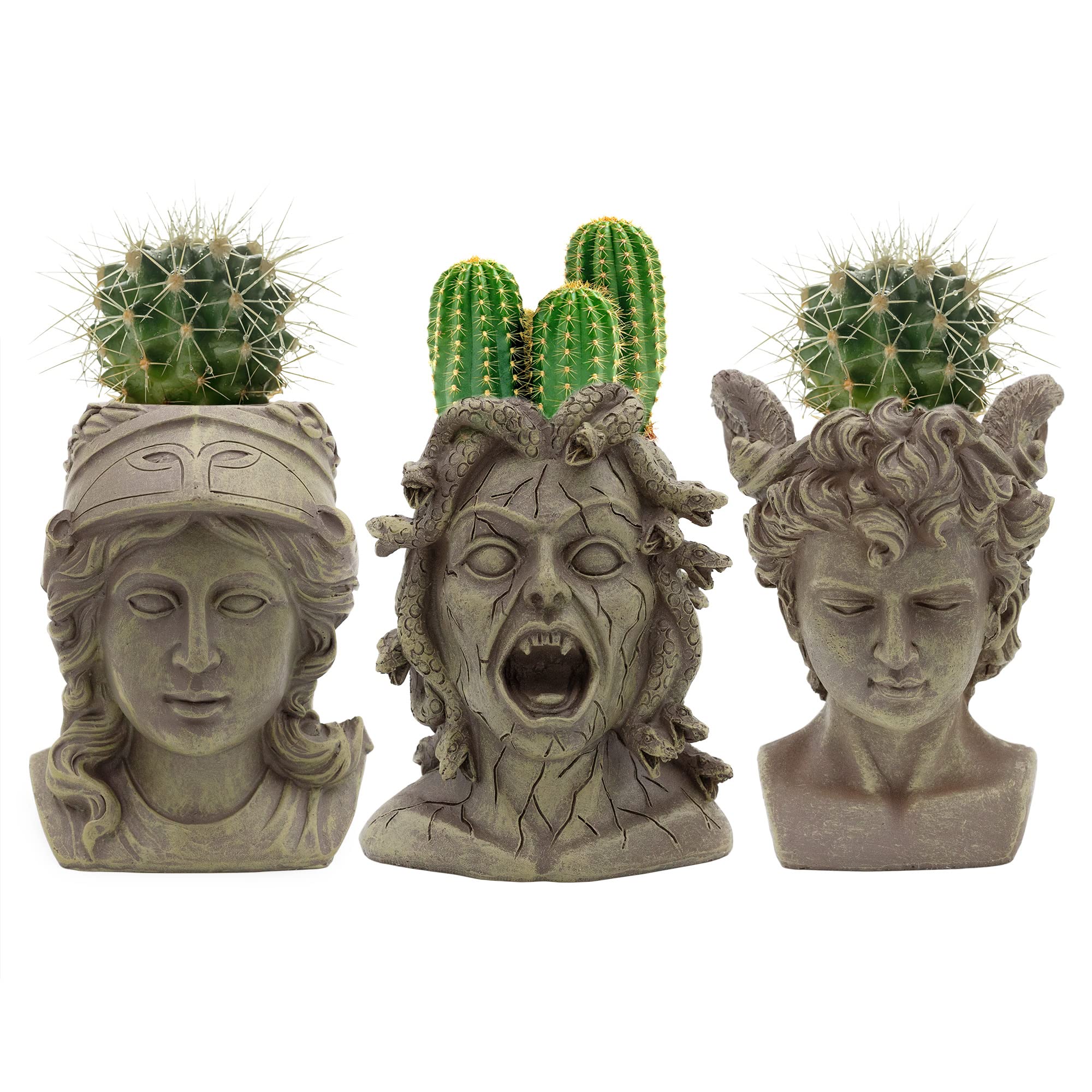 Amazon.com: Darware Mini Athena/Medusa/Perseus Planter Pots (Set